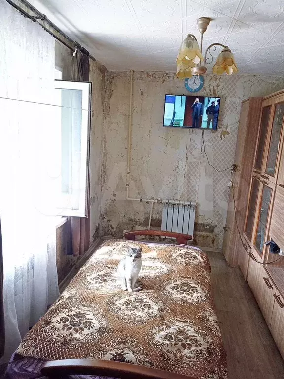 2-к. квартира, 42 м, 1/5 эт. - Фото 1