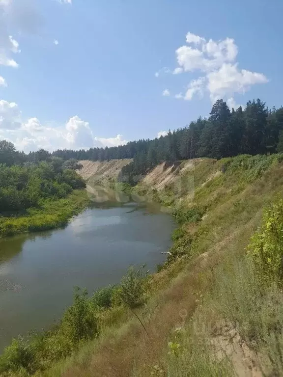 Участок в Саратовская область, Балашовский район, Пинеровское ... - Фото 0