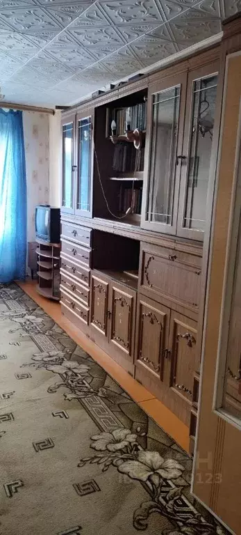 3-к кв. Воронежская область, Таловая рп проезд Буденного, 31 (64.0 м) - Фото 2