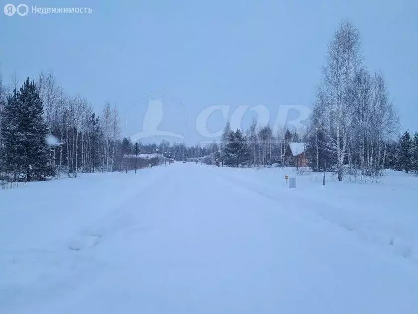 Участок в село Перевалово, коттеджный посёлок Родники (28.2 м) - Фото 1