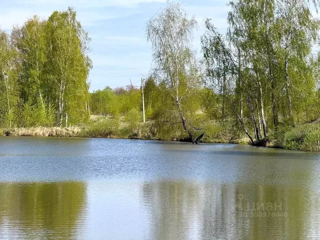 Участок в Тульская область, Заокский район, Демидовское с/пос, д. ... - Фото 1