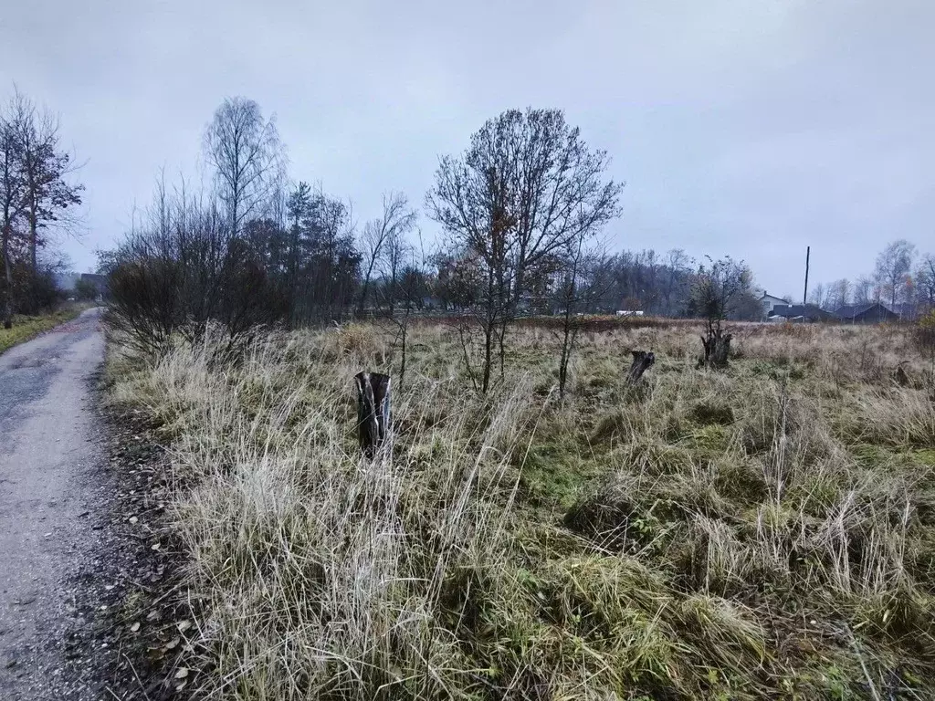 Участок в Псковская область, Печорский муниципальный округ, пос. ... - Фото 1