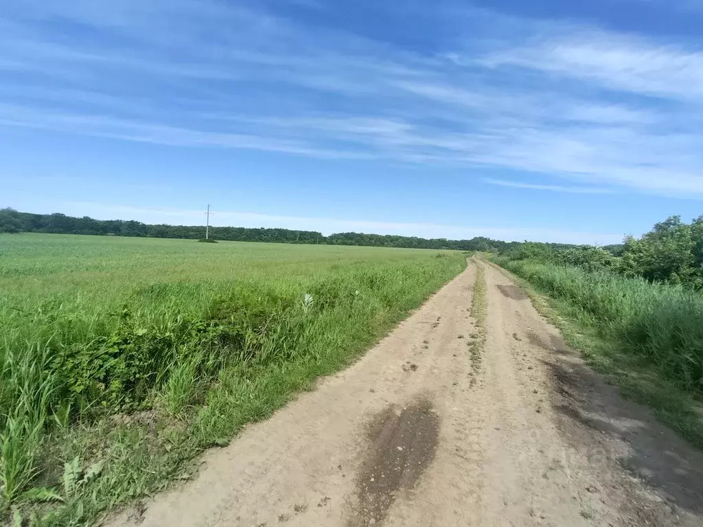 Участок в Краснодарский край, Северский район, Афипское городское ... - Фото 1