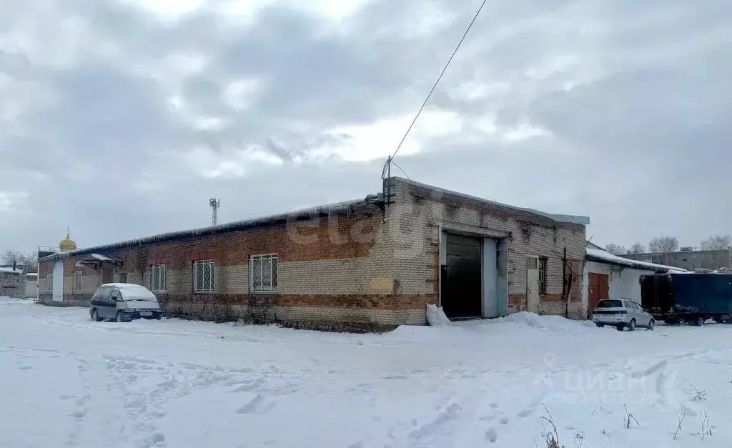 Помещение свободного назначения в Новосибирская область, Новосибирск ... - Фото 1