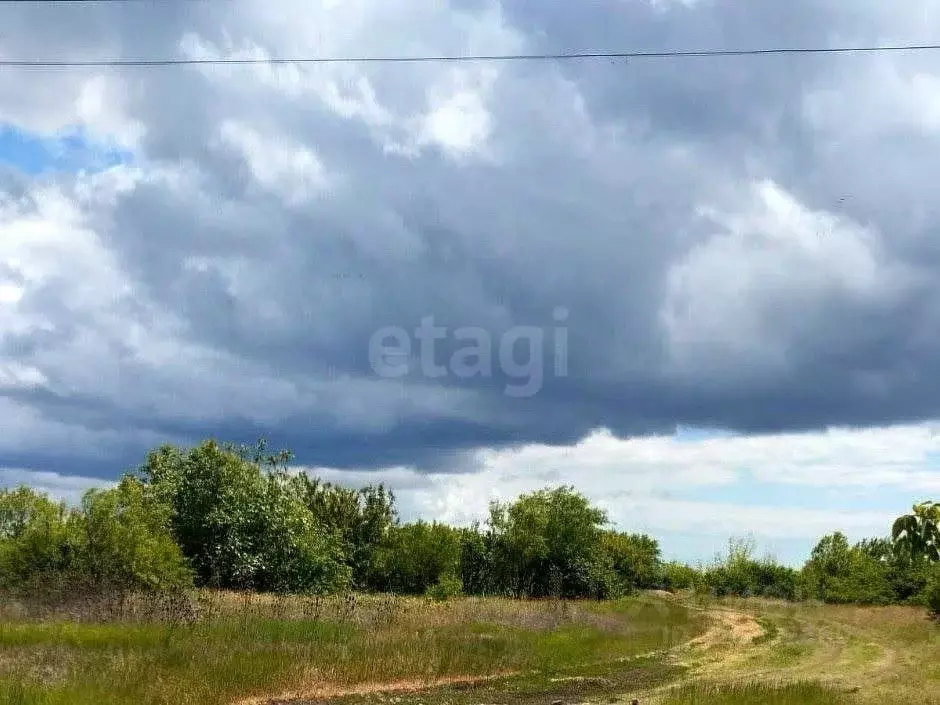 Участок в Крым, Кировский район, Синицынское с/пос, с. Васильковое ул. ... - Фото 1