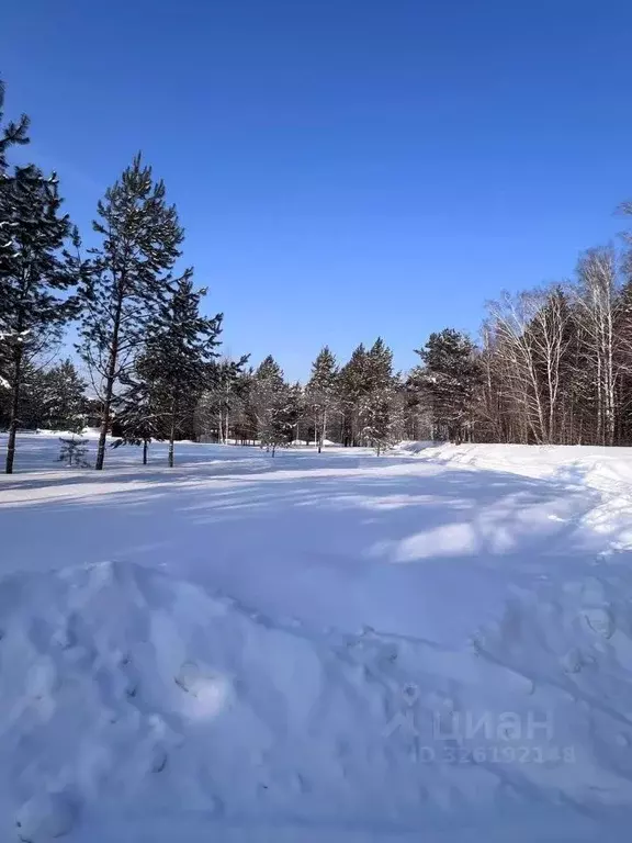 Участок в Новосибирская область, Новосибирский район, Барышевский ... - Фото 2