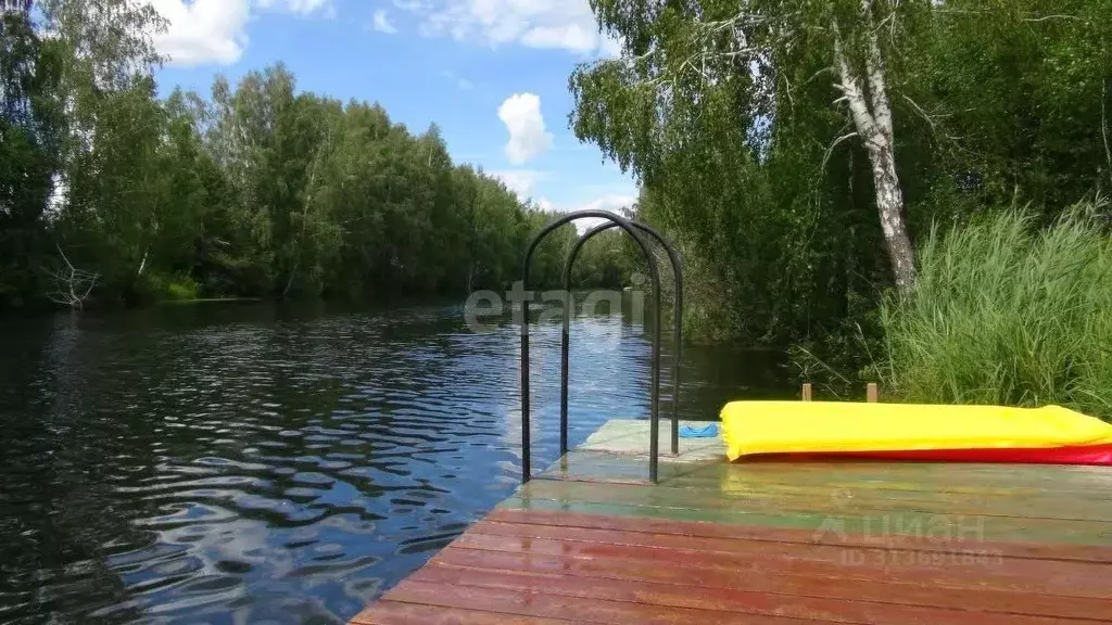 Участок в Новосибирская область, Новосибирский район, Кудряшовский ... - Фото 1