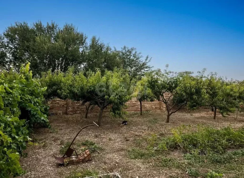 Дом в Крым, Сакский район, Ореховское с/пос, Урожай СНТ ул. Береговая ... - Фото 0