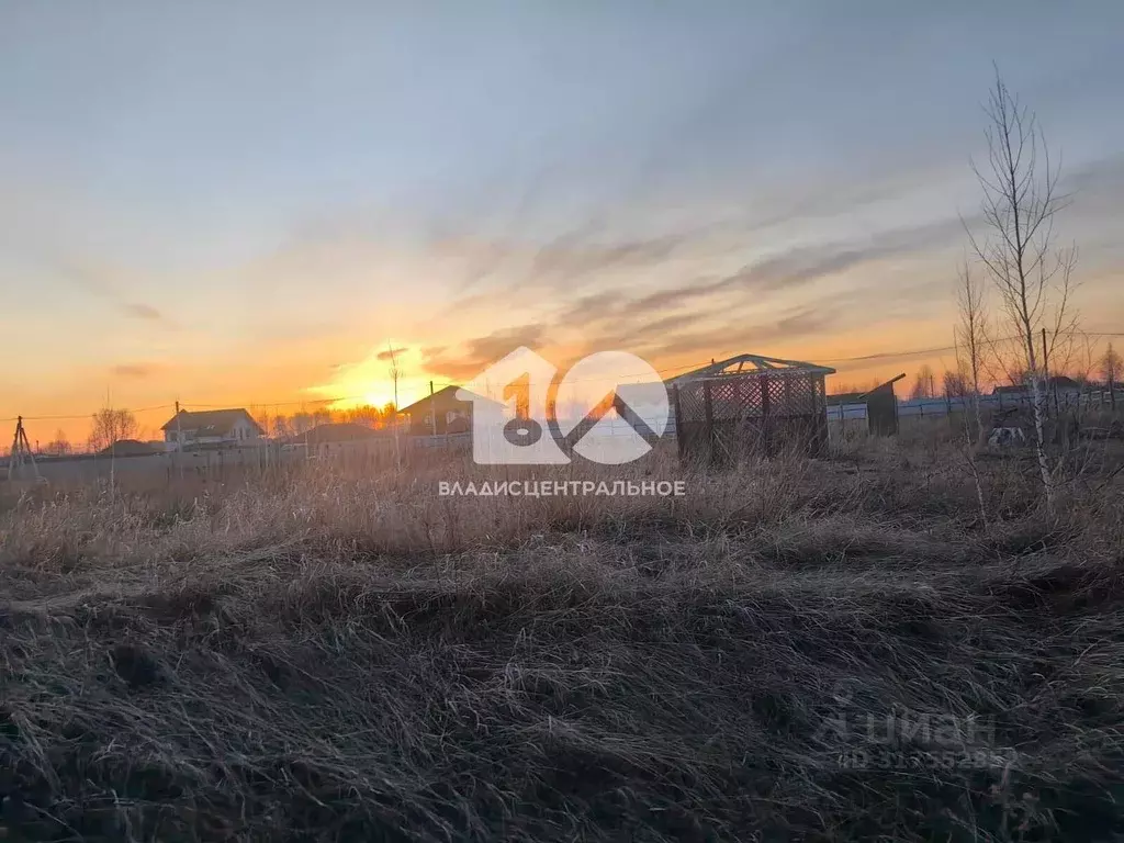 Участок в Новосибирская область, Новосибирский район, Ярковский ... - Фото 0