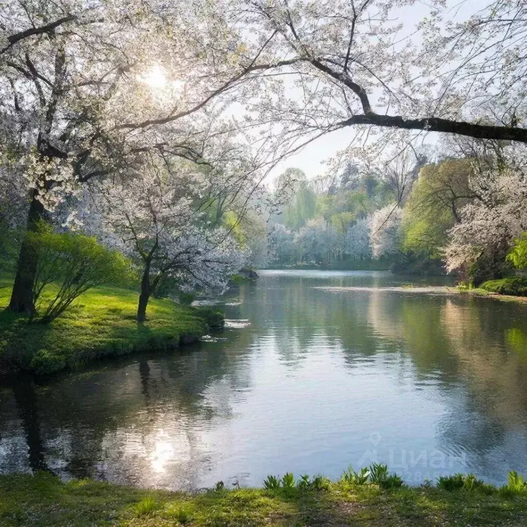 Участок в Нижегородская область, Нижний Новгород с. Новые Ключищи, ул. ... - Фото 1