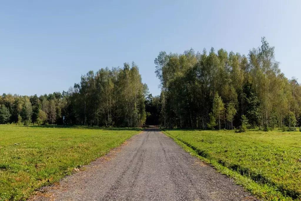 Участок в Московская область, Истра муниципальный округ, д. Дубровское ... - Фото 2