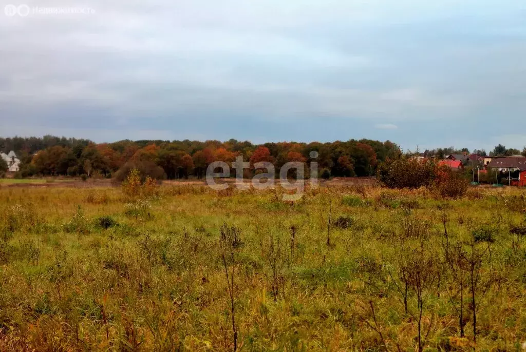 Участок в Московская область, городской округ Домодедово, деревня ... - Фото 1