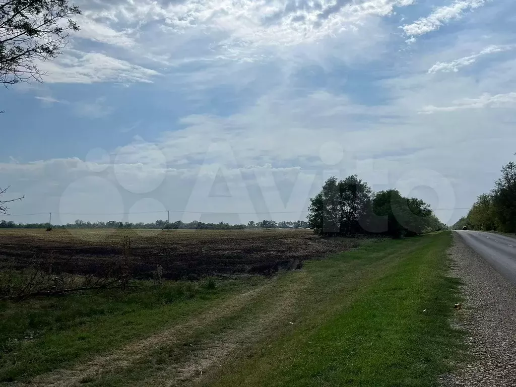 Участок 4,88 га (СНТ, ДНП) - Фото 0
