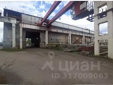 Помещение свободного назначения в Удмуртия, Ижевск ул. Новоажимова, 3 ... - Фото 0