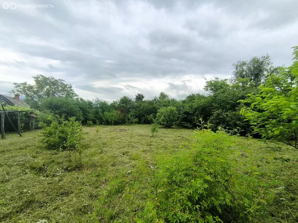 Участок в село Черниговское, Старошкольный переулок (10.6 м) - Фото 2