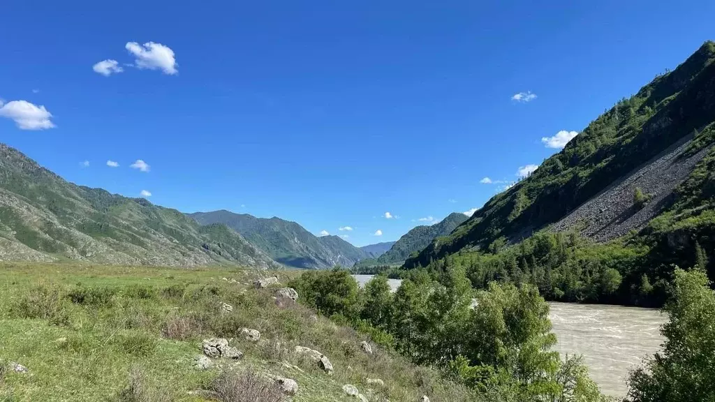 Участок в Алтай, Чемальский район, Куюсское с/пос  (20.0 сот.) - Фото 2