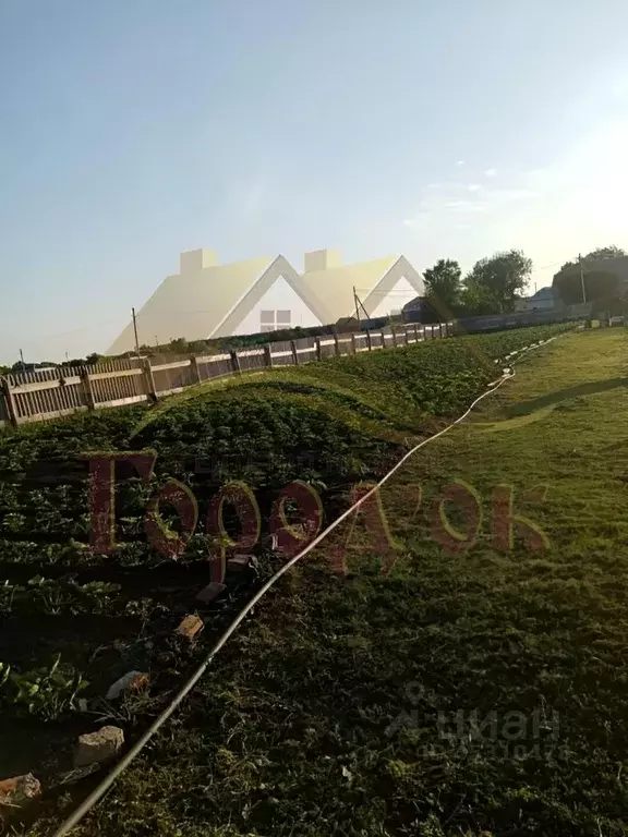 Участок в Воронежская область, Борисоглебский городской округ, пос. ... - Фото 1