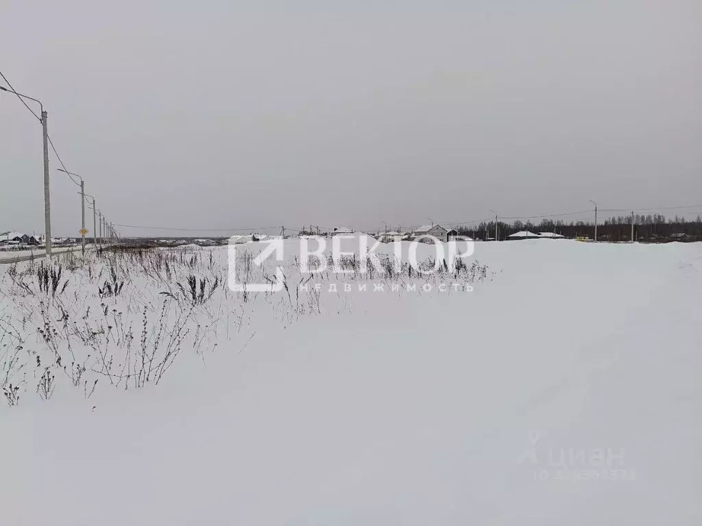 Участок в Костромская область, Кострома ул. Шарьинская (10.0 сот.) - Фото 1