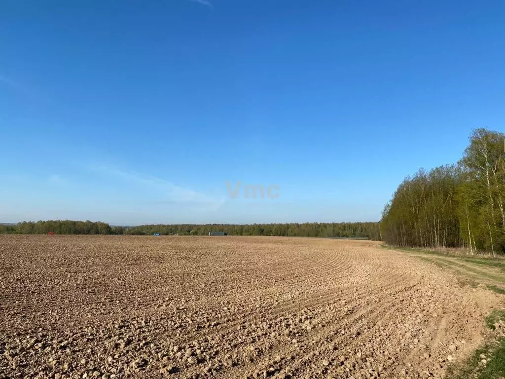 Участок в Московская область, Коломна городской округ, с. Непецино  ... - Фото 1