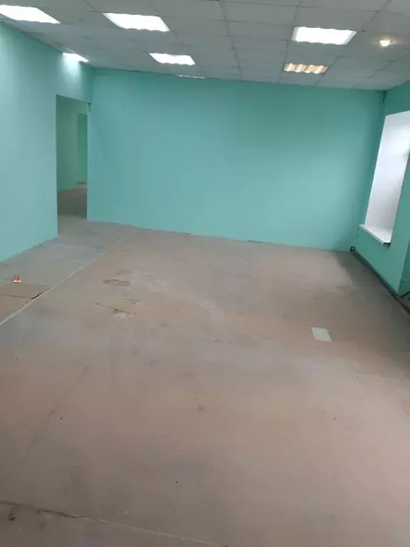 Помещение свободного назначения в Свердловская область, Камышлов ул. ... - Фото 1