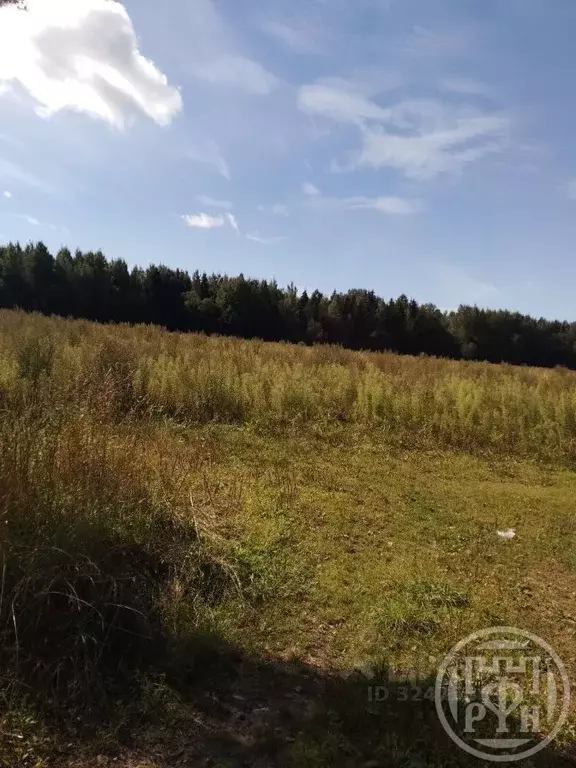 Участок в Ленинградская область, Лужский район, Заклинское с/пос, д. ... - Фото 2