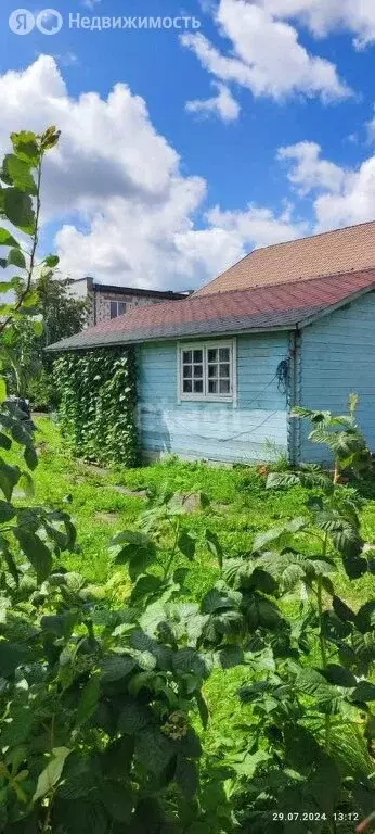 Участок в Калининград, СНТ Спутник, 2-й проезд (5.1 м) - Фото 1