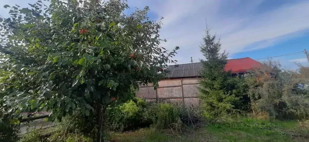 Участок в Новосибирская область, Новосибирск Садоводческого ... - Фото 1
