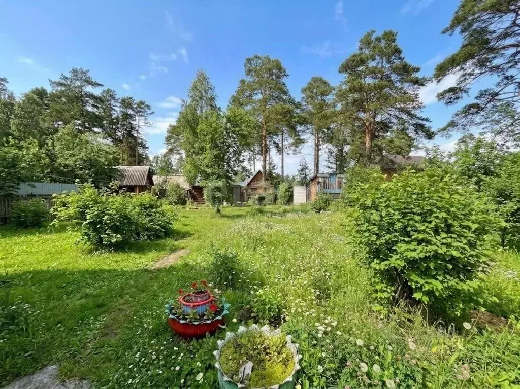 Дом в Тюменская область, Тюмень  (32 м) - Фото 2