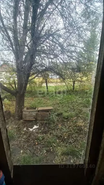 Дом в Приморский край, с. Яковлевка ул. Новая (39 м) - Фото 1