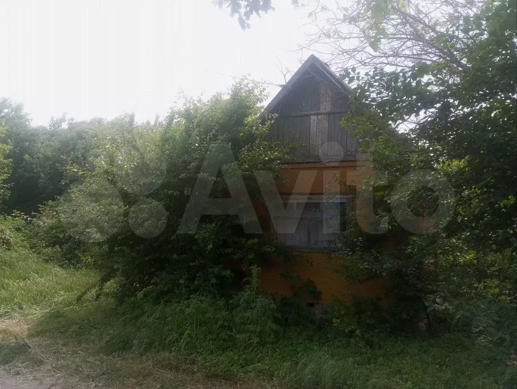 Участок 6 сот. (СНТ, ДНП) - Фото 1