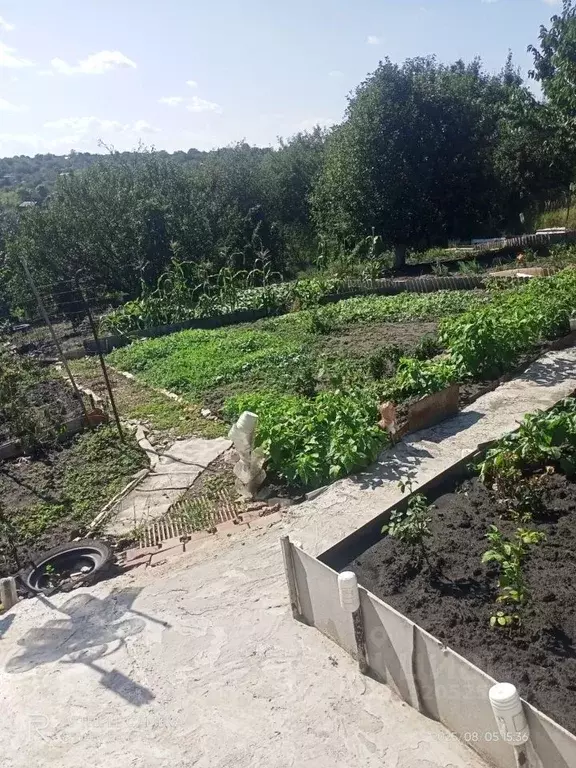 Дом в Белгородская область, Белгородский район, Северный городское ... - Фото 2