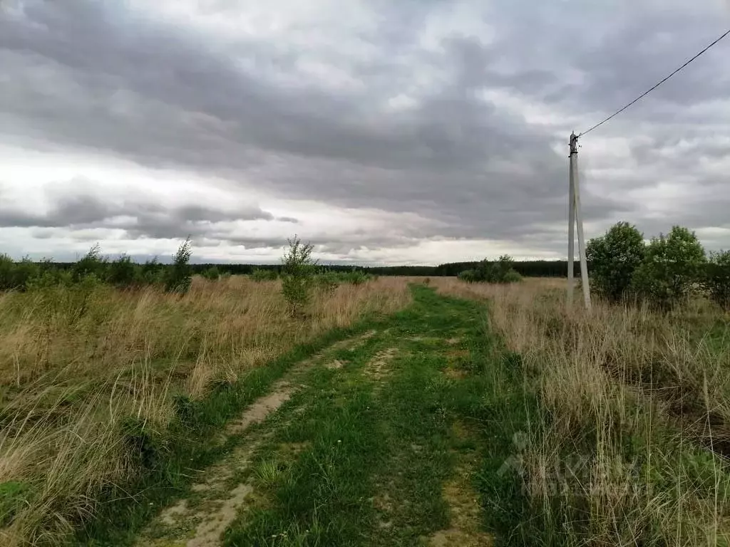 Участок в Владимирская область, Киржачский муниципальный округ, д. ... - Фото 0