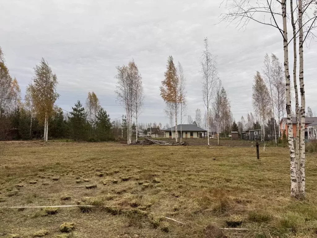 Участок в Ленинградская область, Ломоносовский район, Пениковское ... - Фото 1