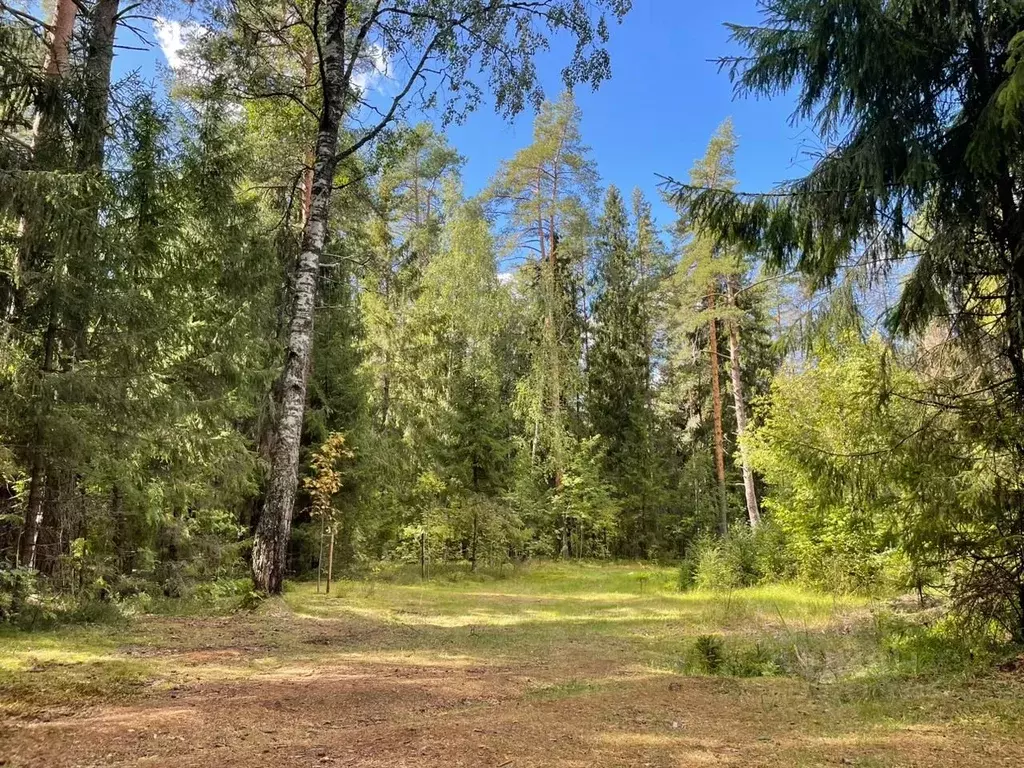 Участок в Ленинградская область, Выборгский район, Первомайское с/пос, ... - Фото 1