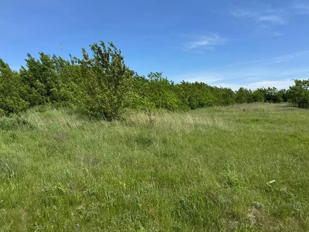 Участок в Московская область, Богородский городской округ, Обухово ... - Фото 0