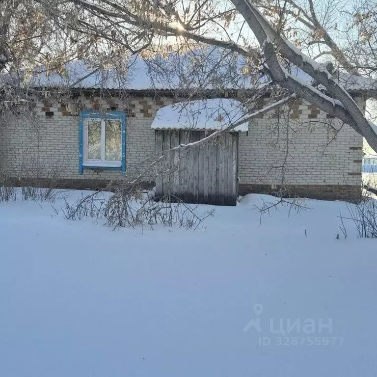 Помещение свободного назначения в Курганская область, Петуховский ... - Фото 2