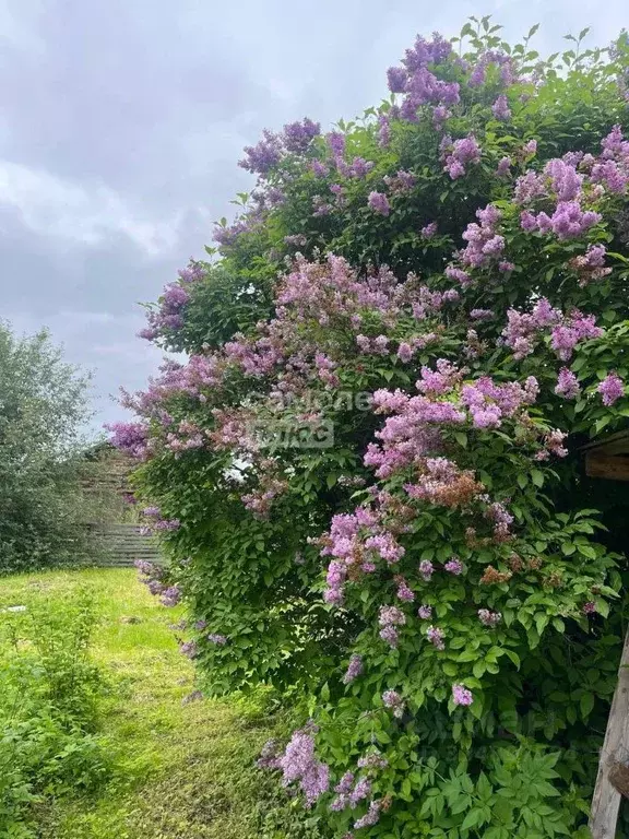 Участок в Коми, Сыктывдинский район, Выльгорт муниципальное ... - Фото 1