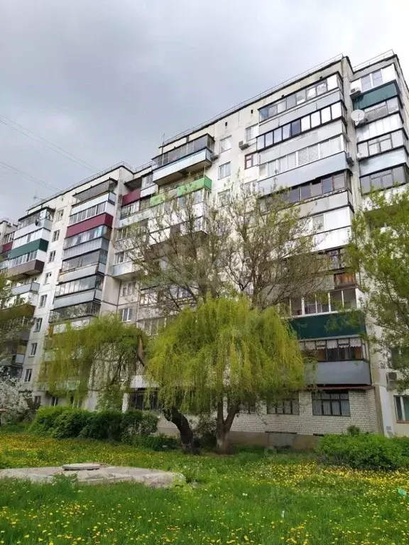 3-к кв. Курская область, Курск ул. Димитрова, 75 (60.0 м) - Фото 0