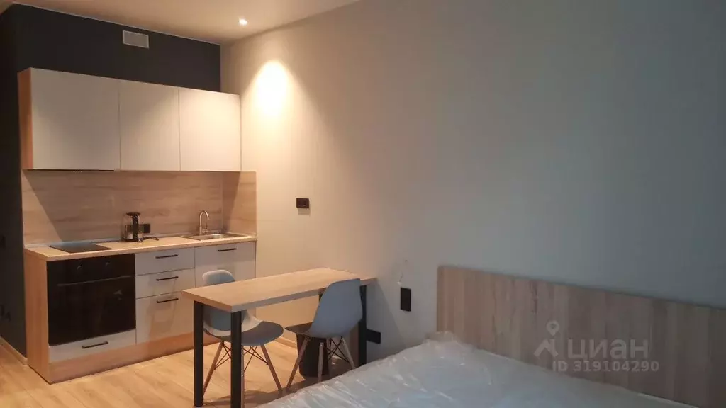 Студия Санкт-Петербург просп. Энергетиков, 8к2 (26.0 м) - Фото 0