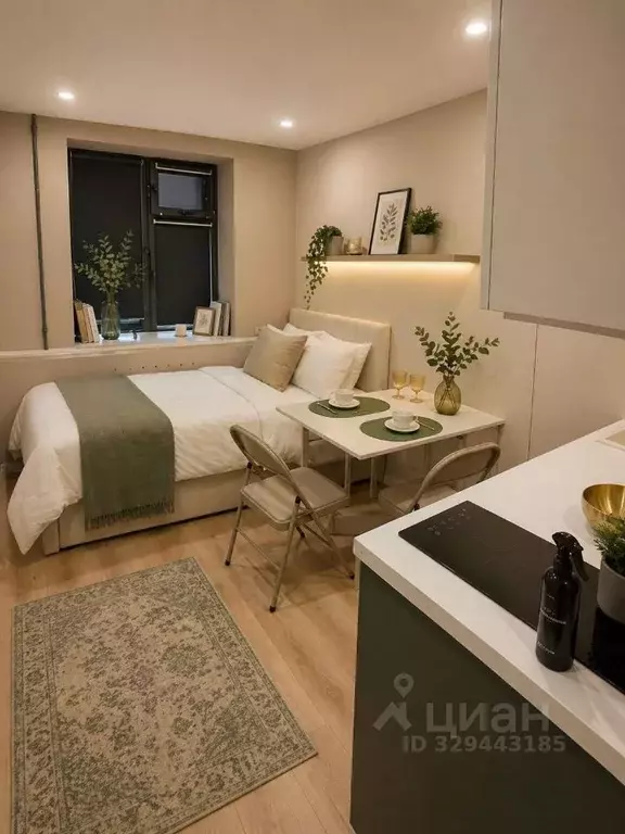 Студия Москва ул. Новинки, 4 (20.0 м) - Фото 2