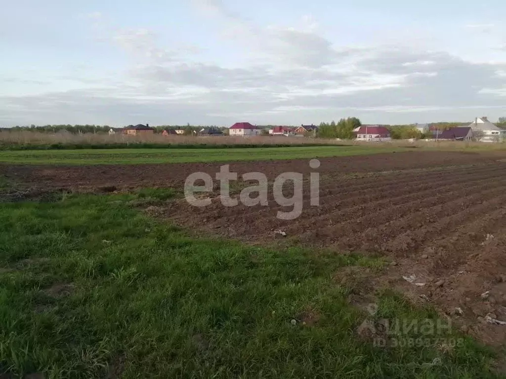 Участок в Брянская область, Брянский район, пос. Мичуринский  (10.0 ... - Фото 1