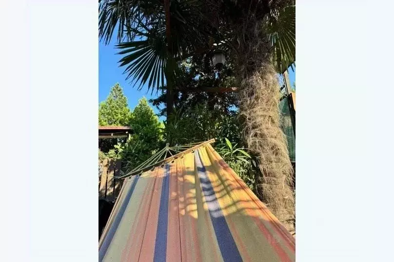 Дом в Севастополь Верхний Сатурн садоводческое товарищество, ул. ... - Фото 1