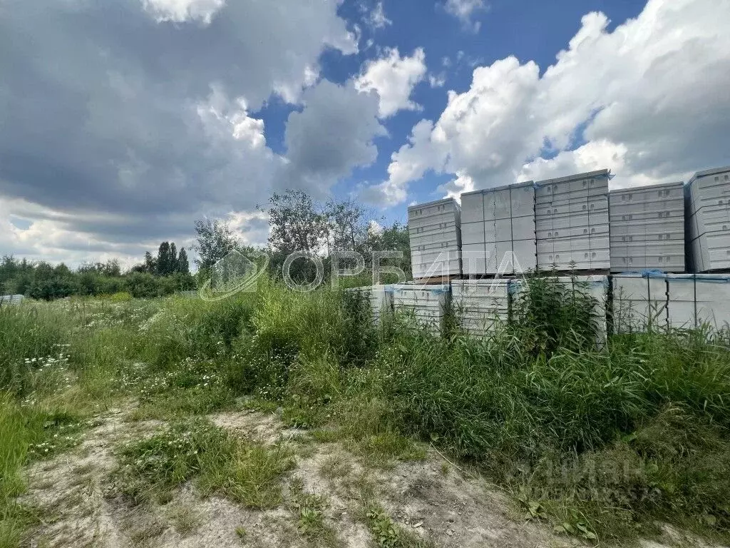 Участок в Тюменская область, Тюмень СОСН Аккумуляторщик-2 тер., ул. ... - Фото 1