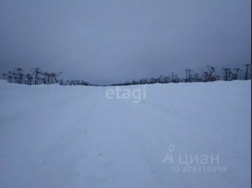 Участок в Пермский край, Пермский муниципальный округ, с. Курашим  ... - Фото 1