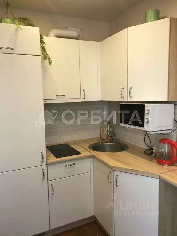 Студия Тюменская область, Тюмень ул. Новоселов, 115 (17.8 м) - Фото 0