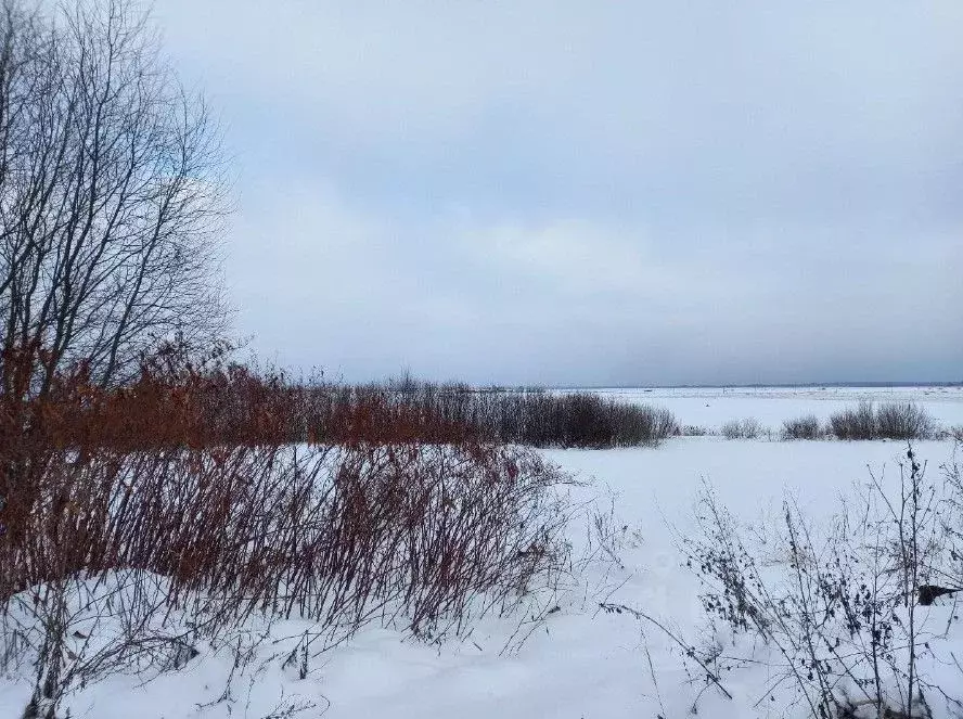 Участок в Московская область, Дмитровский муниципальный округ, с. ... - Фото 0