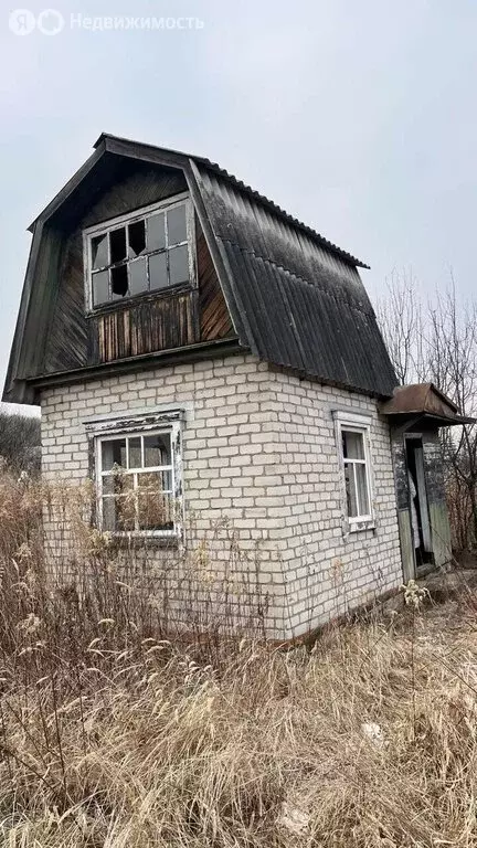 Участок в Приморский край, Михайловский муниципальный округ, село ... - Фото 1