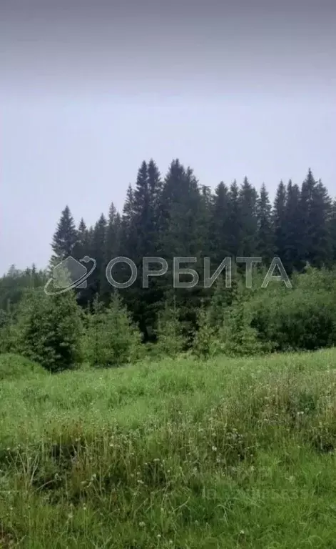 Участок в Тюменская область, Нижнетавдинский муниципальный округ, ... - Фото 2