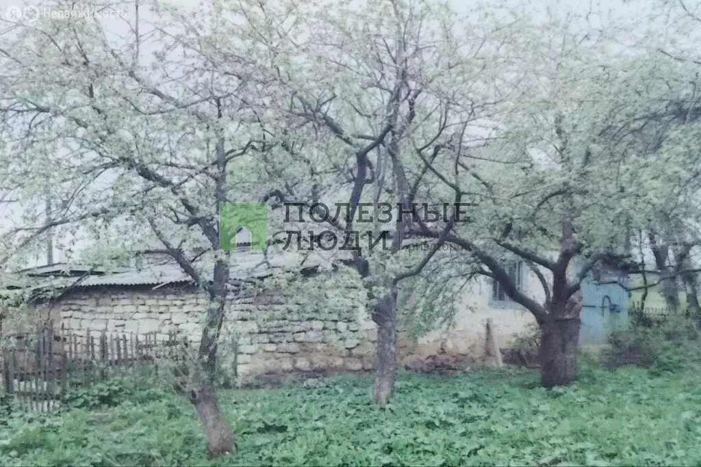 Участок в Орловская область, Краснозоренское сельское поселение, село ... - Фото 1