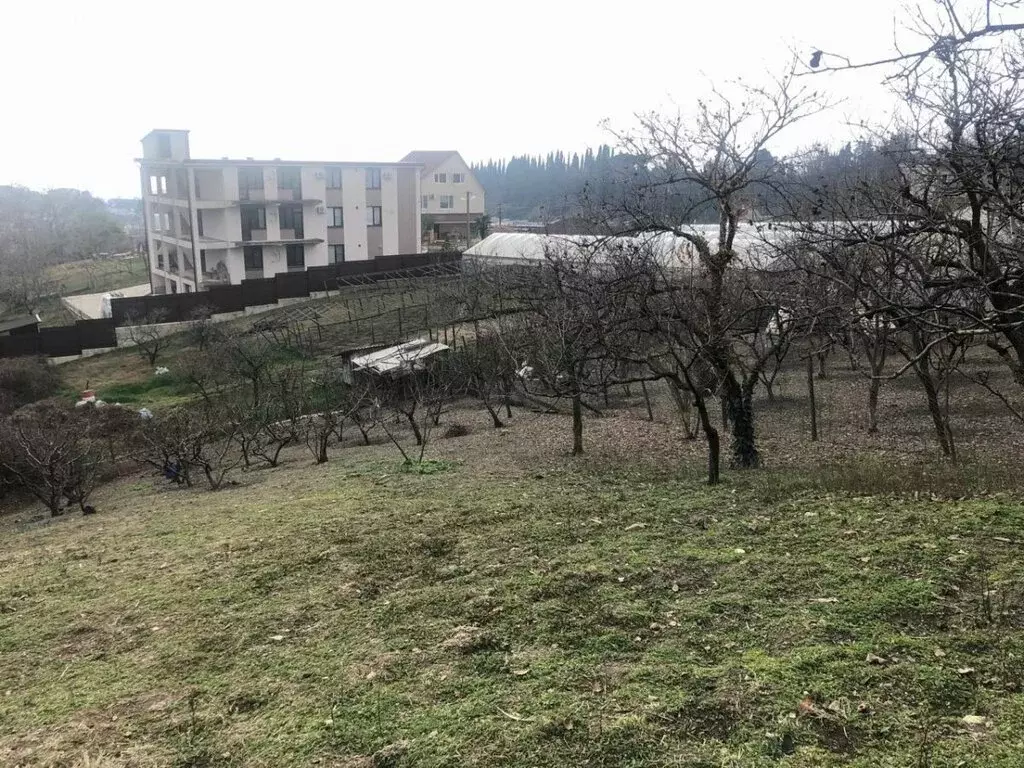 Участок в Сочи, Енисейская улица, 3/53А (30 м) - Фото 0